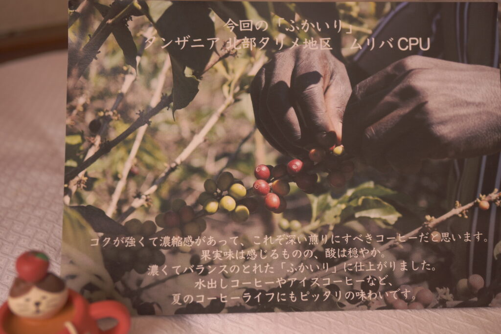 コーヒー豆